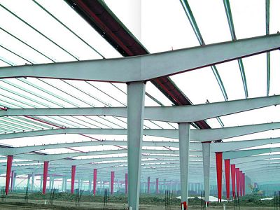 Space Frame and Steel Structure Low Cost